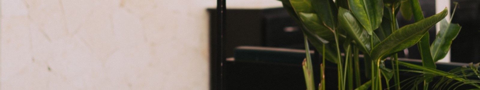 pexels-scott-webb-2451264