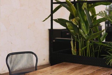 pexels-scott-webb-2451264