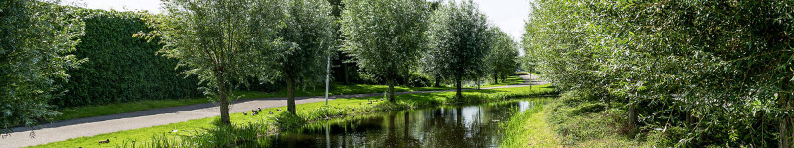 Gouwe30NieuwerkerkaandenIJssel37