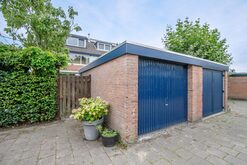 241563530