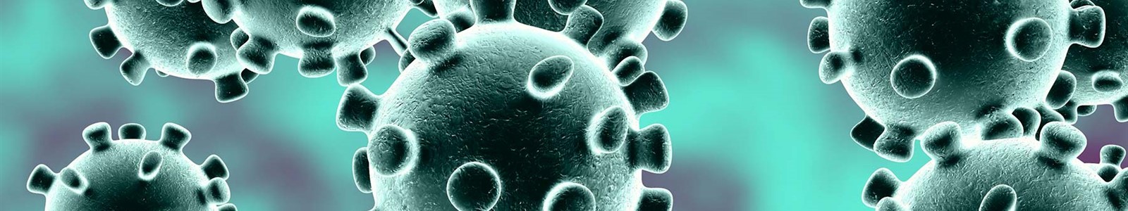 1800x1200_coronavirus_1